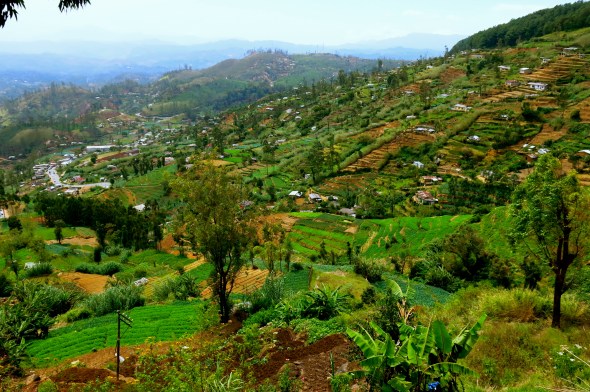 Farming in the Hill Country