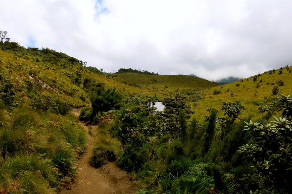 Horton Plains National Park