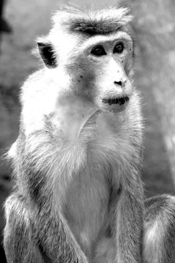 Getting ready to rob someone.