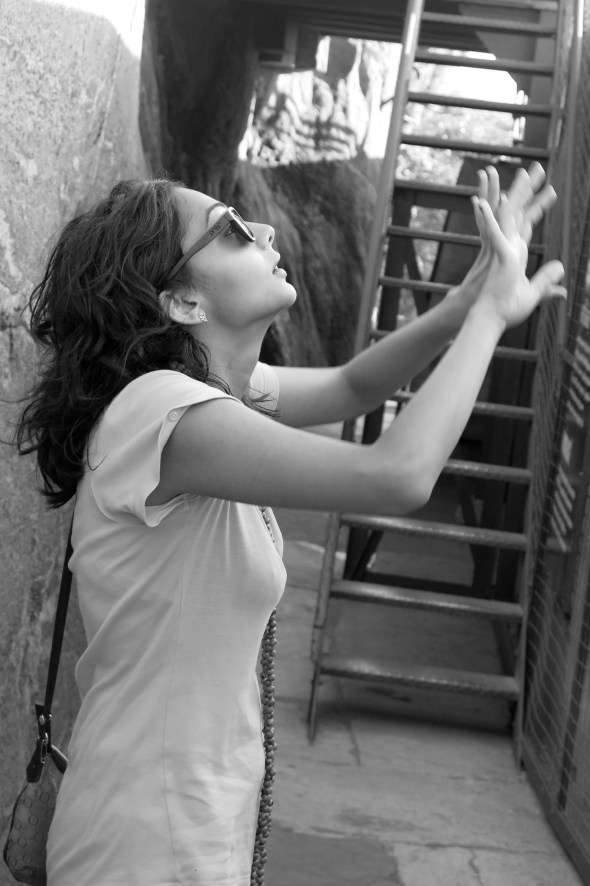 Searching for the top