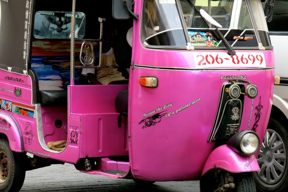 Very wise, pink Tuk Tuk